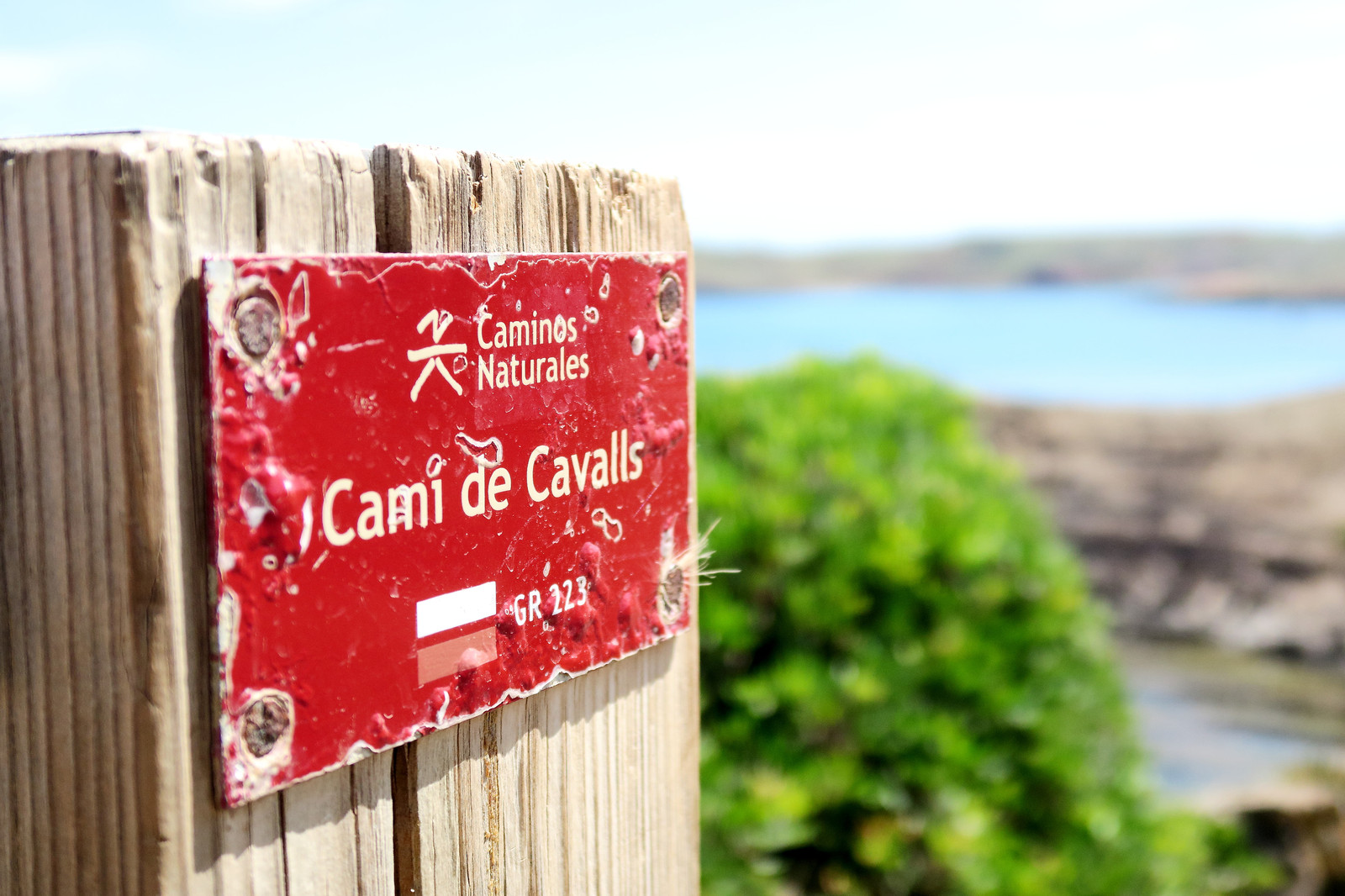 Le-cami-de-cavalls-GR223